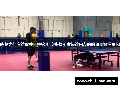 陈梦为何突然取关王楚钦 社交媒体引发热议网友纷纷猜测背后原因