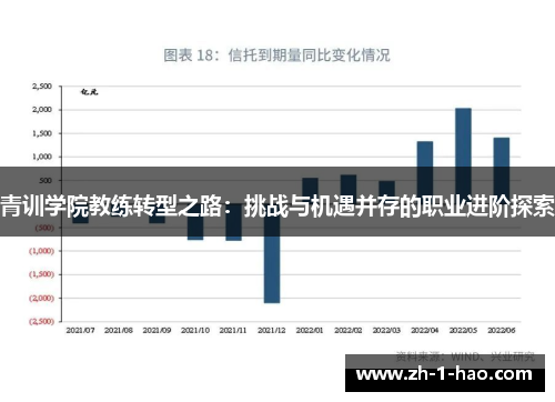 青训学院教练转型之路：挑战与机遇并存的职业进阶探索