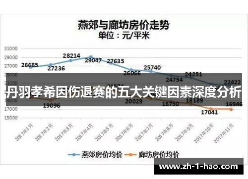 丹羽孝希因伤退赛的五大关键因素深度分析
