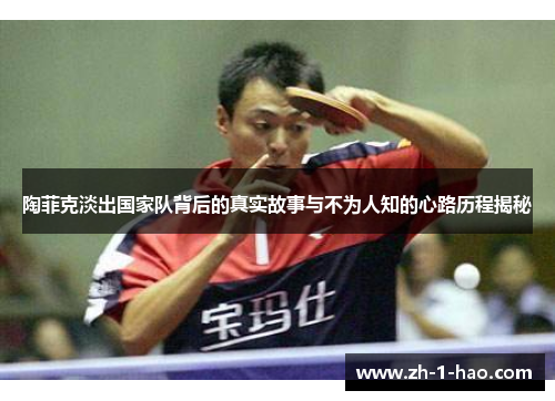 陶菲克淡出国家队背后的真实故事与不为人知的心路历程揭秘