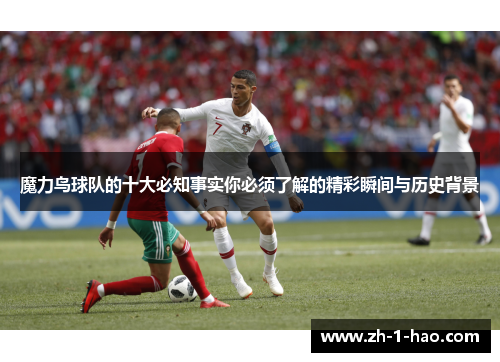 魔力鸟球队的十大必知事实你必须了解的精彩瞬间与历史背景