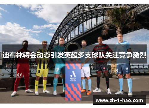 迪布林转会动态引发英超多支球队关注竞争激烈